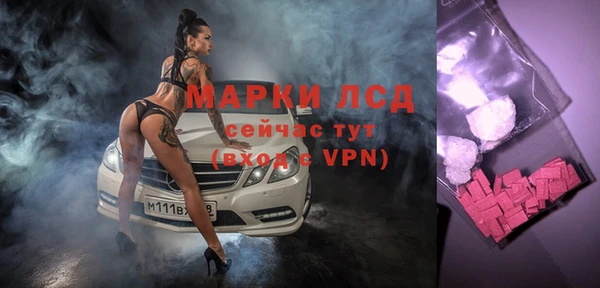хмурый Алзамай