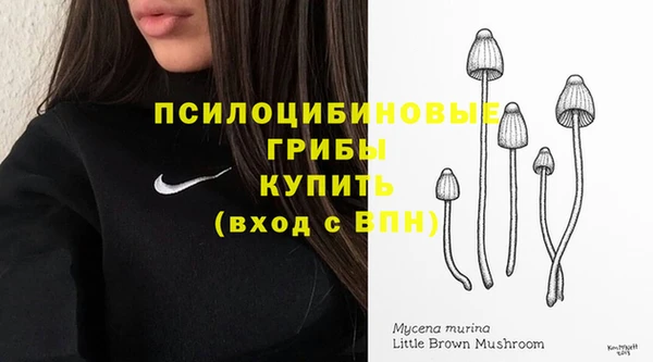 спайс Алексеевка
