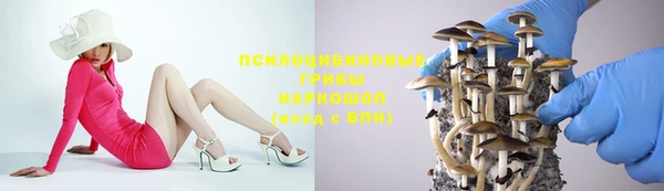 спайс Алексеевка