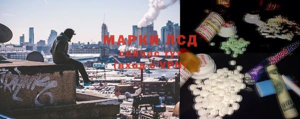хмурый Алзамай